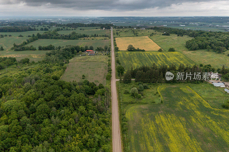 鸟瞰油菜籽田和乡村道路，Bradford West Gwillimbury，加拿大